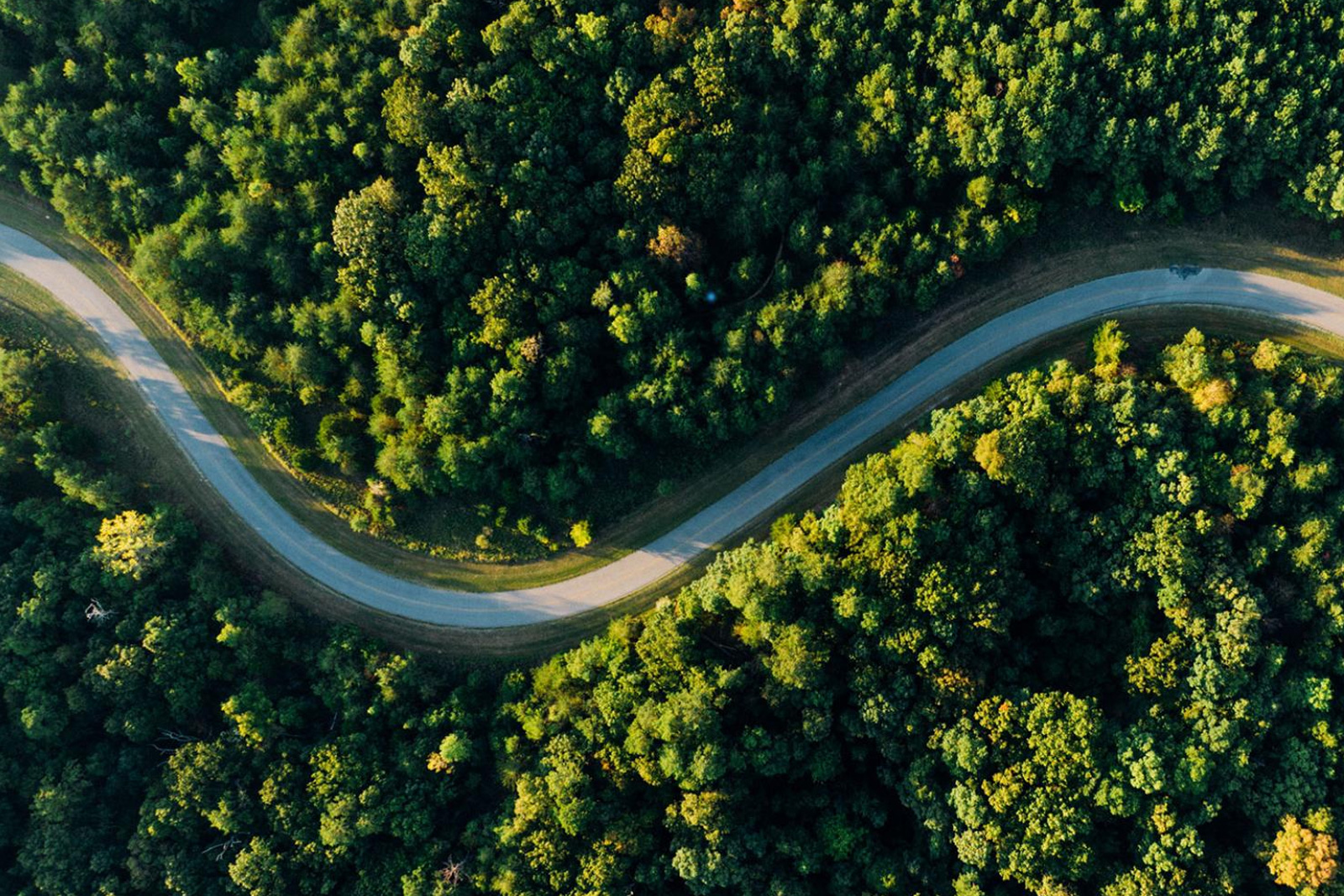 Responsabilidad Social